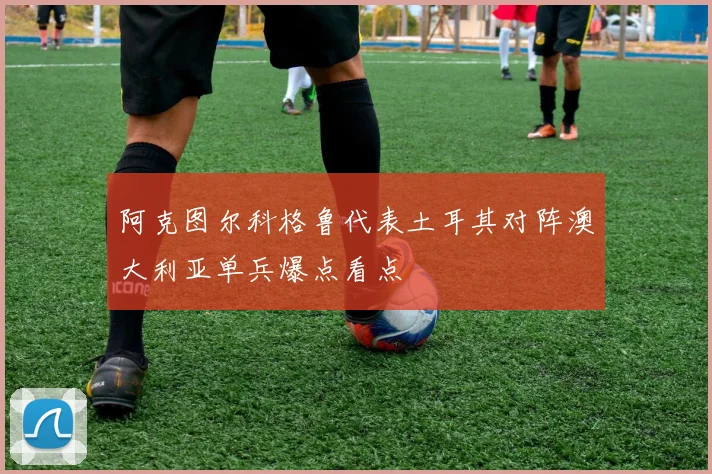 阿克图尔科格鲁代表土耳其对阵澳大利亚单兵爆点看点